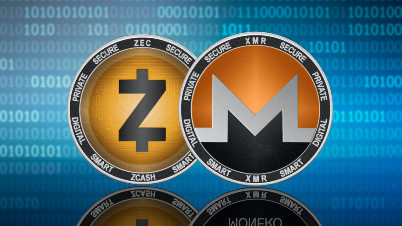 Top Privacy Cryptocurrencies by Market Cap Lost Half Their Value in Less Than 2 Months