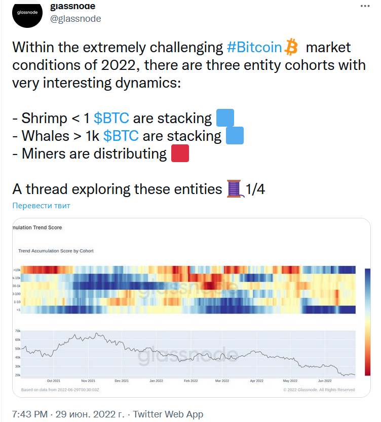 В Fundstrat предрекают финальную просадку BTC ниже  тыс.