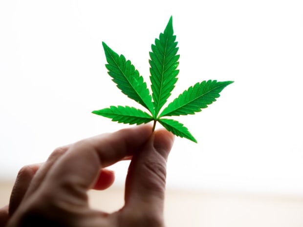 Bitcoin Can Finance Growth In The Cannabis Industry