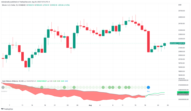 Rare Signal Emerges Hinting Now Is The Best Time To Buy Bitcoin