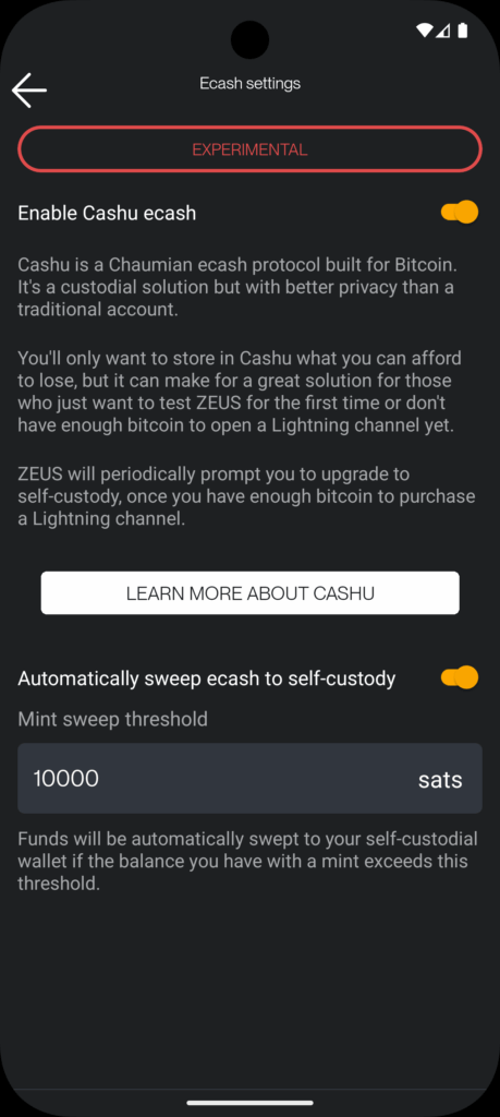 How Zeus is Redefining Bitcoin with Cashu Ecash Integration 8 Zeus Cashu explanation page.
