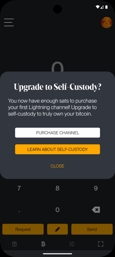 How Zeus is Redefining Bitcoin with Cashu Ecash Integration 6 Zeus Cashu self-custody warning