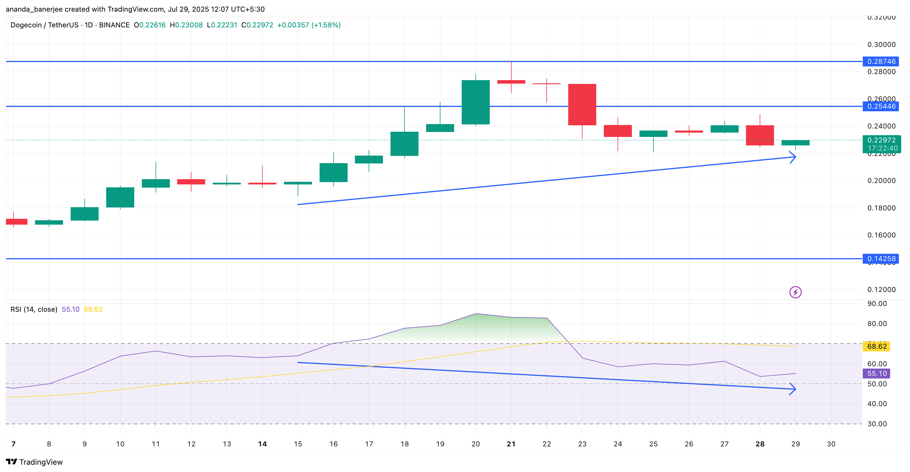 Дивергенция цены DOGE и RSI