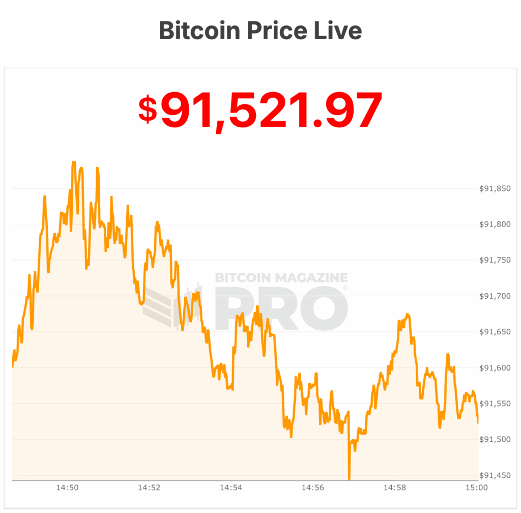 Bitcoin Price Freefalls Down to $91,0000 and New Lows 5 Bitcoin Price
