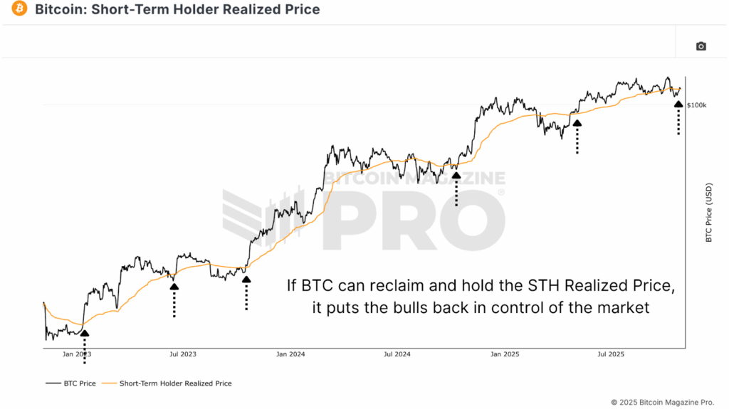 Short-Term Holder Realized Price signals structural support for bitcoin price market confidence.